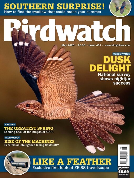 Cover image for Birdwatch